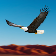 Bird Race Game 3D: Eagle Games Мод APK 1.6.2 [разблокирована]