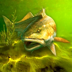 My Fishing World Mod APK 1.15.109[Mod money]