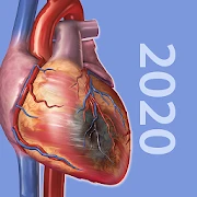 Physiology & Pathology Mod APK 1.0.11[Mod money]