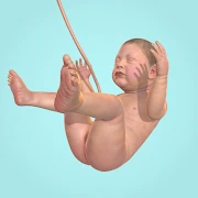 Idle 9 Months Mod APK 1.34.0[Unlocked]
