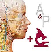 Anatomy & Physiology Mod APK 5.1.10[Paid for free,Free purchase]