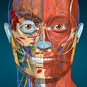 Anatomy Learning - 3D Anatomy Mod Apk 2.1.386 