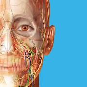Human Anatomy Atlas 2026 Mod APK 2020.0.71[Paid for free,Free purchase]