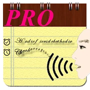 Voice Notes (Pro)
