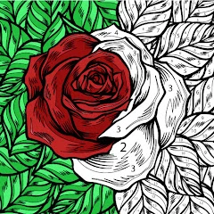 Color by Number: Coloring Book Mod APK 3.1.1[Mod money]