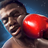Boxing King -  Star of Boxing Мод APK 2.9.5002 [Бесплатная покупка]