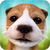 Dog Simulator Mod APK 2.2.3[Unlimited money,Unlocked]