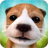 Dog Simulator Mod APK 2.2.3[Unlimited money,Unlocked]