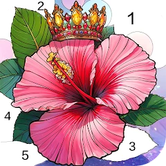 Calm Color Coloring games Mod APK 1.0.179[Remove ads,Mod speed]