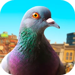 Pigeon Mod Apk 23 