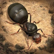 The Ants: Underground Kingdom Mod APK 3.69.0[Remove ads,Mod speed]