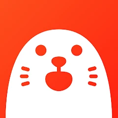 HOLLA - Live Video Call