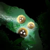 nohavmede Mod APK 1.0.1[Unlocked]