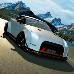 Racing Xperience: Driving Sim Mod APK 3.2