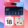 Laka Widget OS