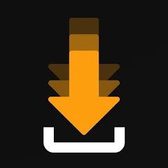 Private Video Downloader