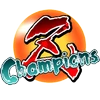 Z Champions