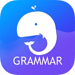 English Grammar: Learn & Test icon