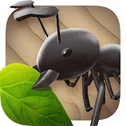 Idle Ant War icon
