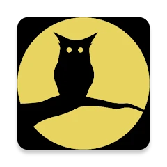 Night screen: Screen Dimmer icon