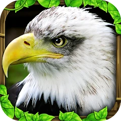 Eagle Simulator™ Mod Apk 3.1 