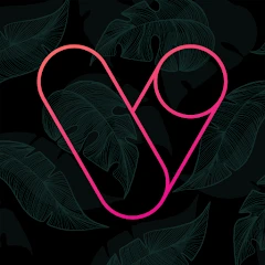 Vera Outline Icon Pack icon