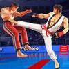 Karate Heroes Street Battle