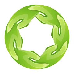 Kiwi icon
