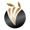 CricDaddy : Cricket Live Line icon